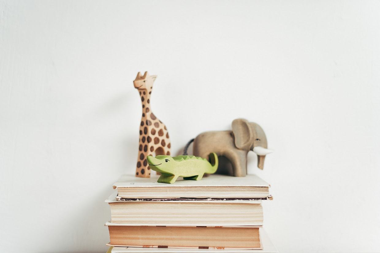 Eco-friendly toys for kids. What to opt for?