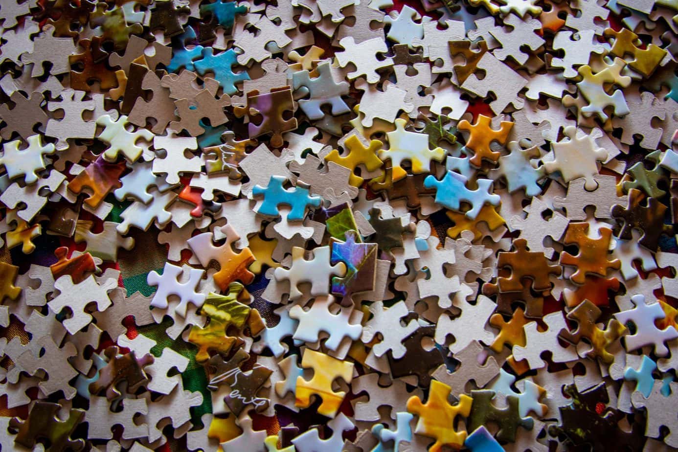 What should a baby’s first puzzle look like?